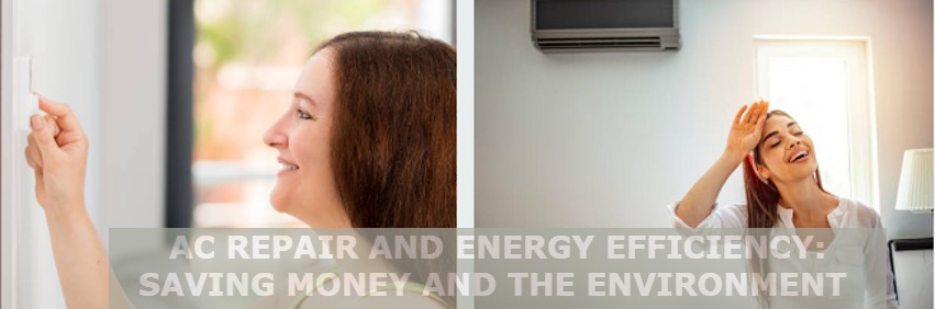Saving Money with Energy Efficiency